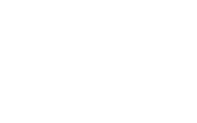 Sofir Fiduciaria - logo